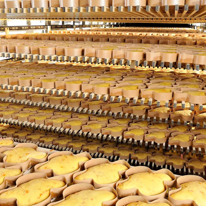 Colombes de Pâques en cours de fermentation sur étagères dans une cellule de levée professionnelle