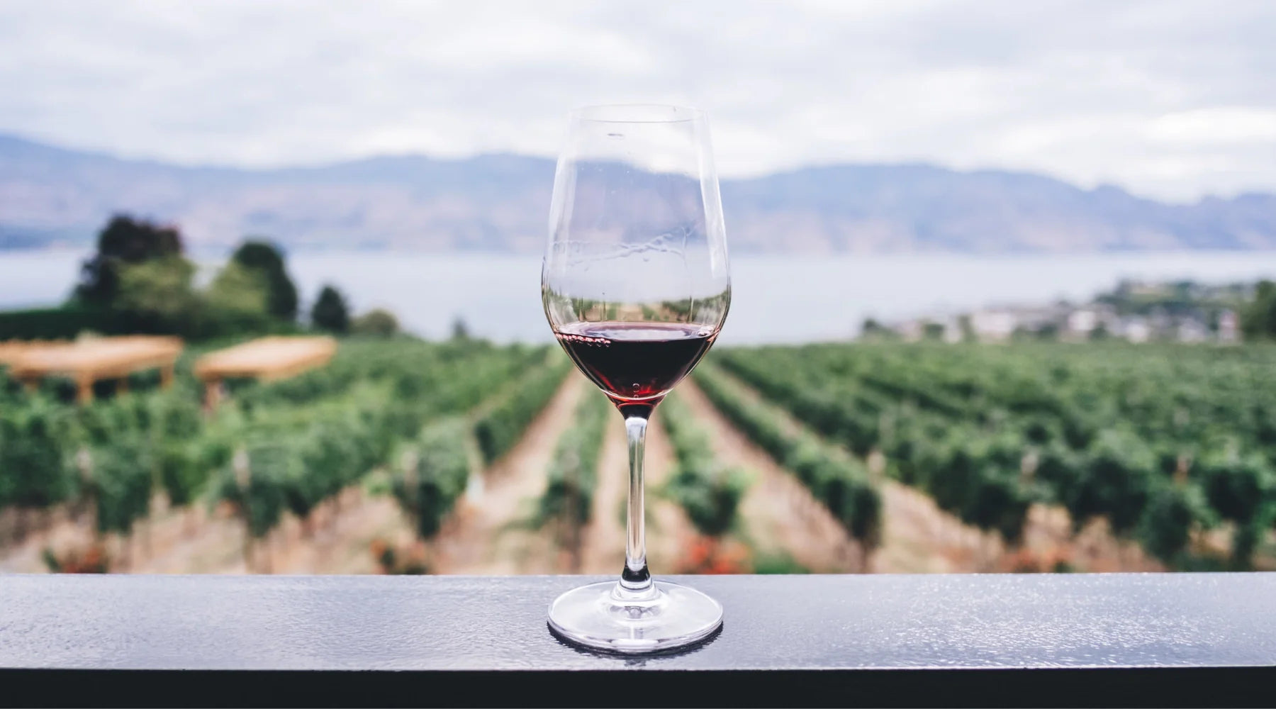 Verre de vin rouge posé sur une rambarde avec vue sur un vignoble et un lac en arrière-plan