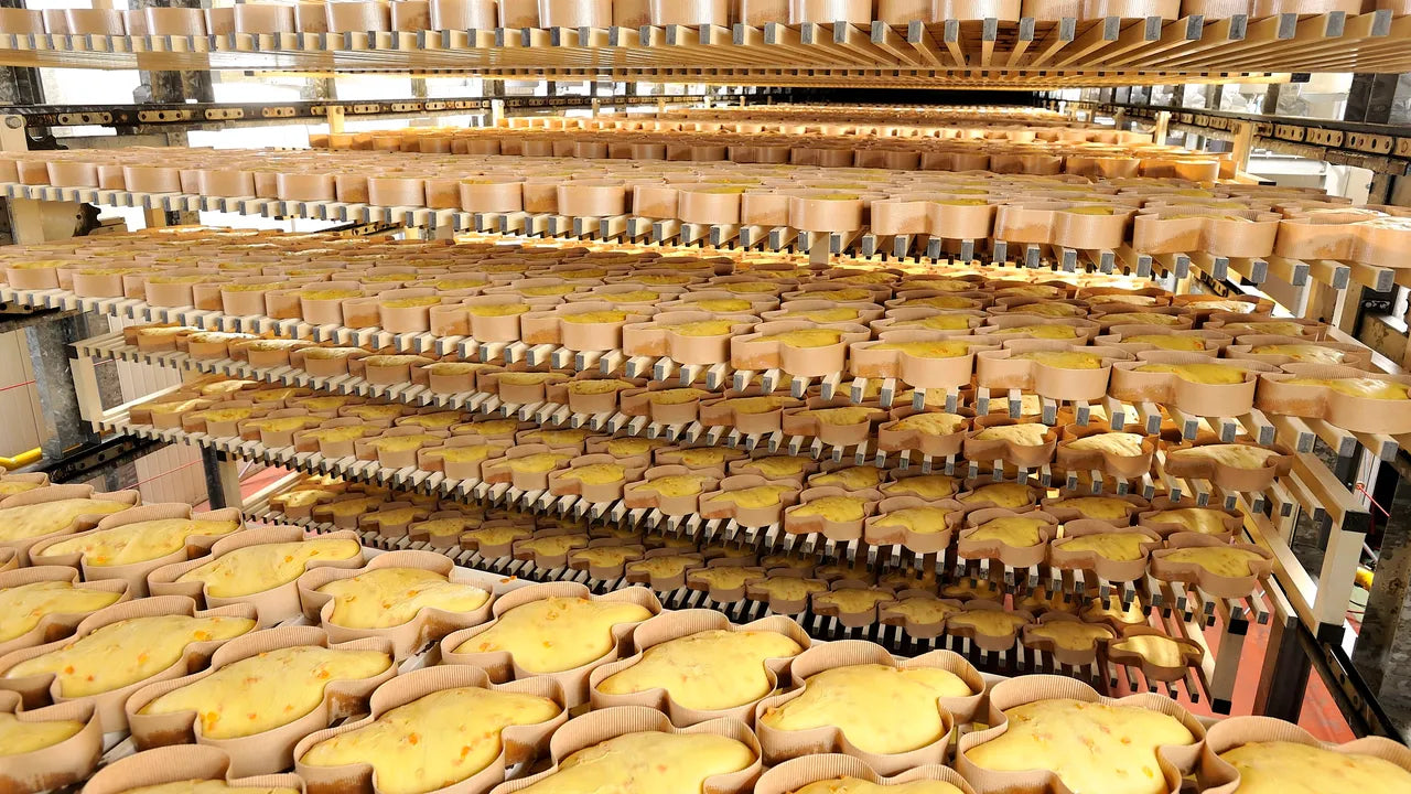 Colombes de Pâques en cours de fermentation sur étagères dans une cellule de levée professionnelle