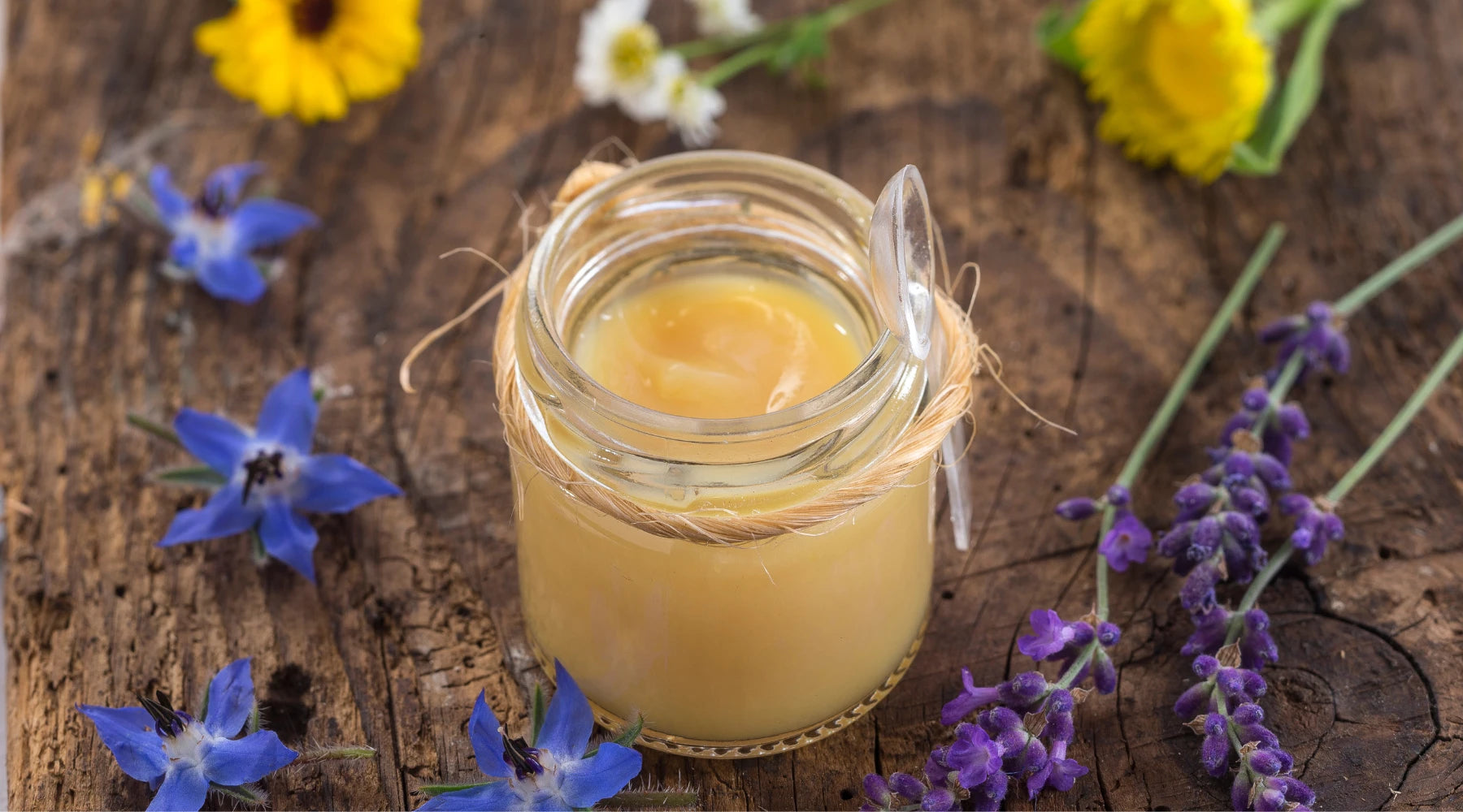 GELÉE ROYALE : BIENFAITS, USAGES ET CONSEILS D'EXPERT