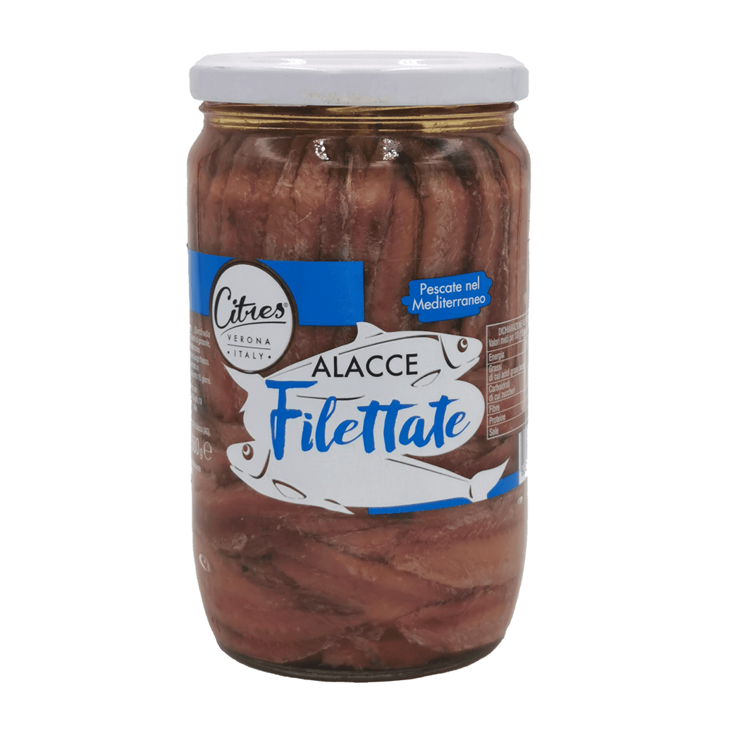 Sardellenfilets in Öl Citres – Mediterrane Spezialität
